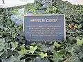 Plaque