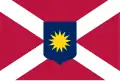 Flag proposed in 1862