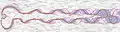 Contour boxplots give a median, order statistics, and outliers (rendered over a line integral convolution visualization of the flow).