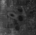 Grayscale converted height map of a JWST image revealing a previously-unseen object (top left).