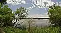 Cootes Paradise, RBG