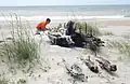 Many shipwreck remains can be found on the beaches[10]