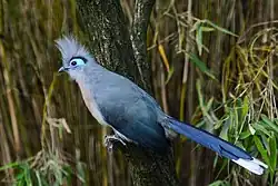 At Weltvogelpark Walsrode, Germany
