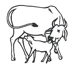 Cow_and_Calf_INC.svg