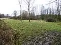 owden Meadow