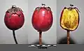 Fruit containing a stone (pyrene)