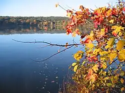 Cutler Pond