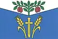 Flag of Dřínov