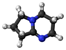 DBN molecule