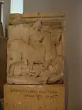 Temple Y Europa on the bull