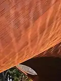 Paint detail