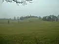 Dalton Park fields