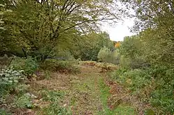 Danemead