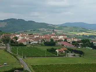 A general view of Dareizé