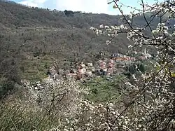View (2)