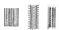 Decorative motifs of bracelets from Biia-Pipea[76]