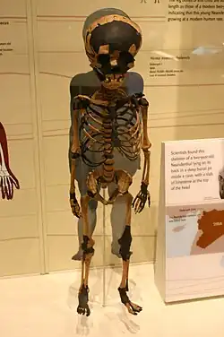 Dederiyeh 1. two-year-old Neanderthal, dated 70&nbsp;kya-50&nbsp;kya