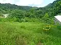 Penstock Path after the Planting Programs