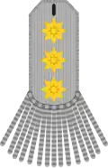 Army uniform (1801–1822)