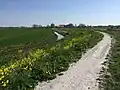 The dike at Goingarijp