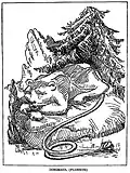 Dingmaul