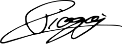 Diogo Jota's signature