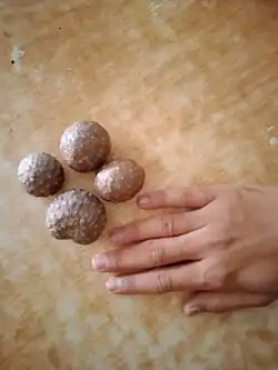 Bulbils