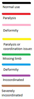 Colour guide for understanding fully body diagrams