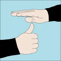 Ascend to stop: Thumb-up ascent signal below a flat hand, palm down.[40]