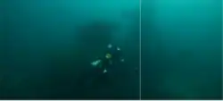 A scuba diver swims near a submerged shipwreck