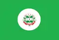 Flag of Divino das Laranjeiras
