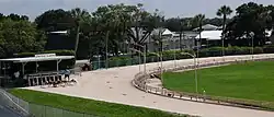 Greyhounds burst from the starting box