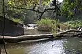 Stream in the mountains