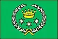 Flag of Dolany