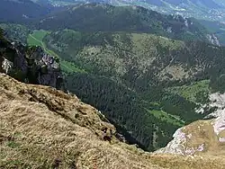 Hala Mała Łąka