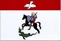 Flag of Dolní Čermná