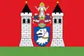 Flag of Dolní Žandov