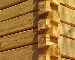 Corner made of notched logs