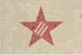 Social Youth League (Xã hội Thanh niên Đoàn), as a branch of the SFIO in Hanoi and Haiphong.