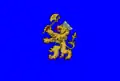 Flag of Hîncești