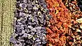 Dried vegetables
