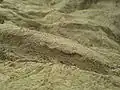 Detail of a dry, loamy road