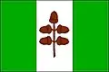 Flag of Dubňany