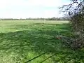 Dungee Corner Meadow