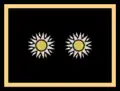 Intendenteburua / Superintendente
