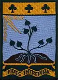 Insignia of the Leadership School AUVERGNE.
