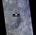 Color view of polygonal ground, as seen by HiRISE under HiWish program