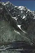 East Fork Quinault River and Chimney Peak in Enchanted Valley