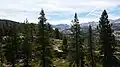 View of surrounding forest from the top of "Cadillac Hill".