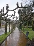 Parque de La Laguna